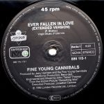Fine Young Cannibals-2