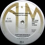Captain Sensible-3