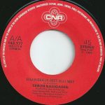 Andre van Duin* / Simon Naaigaren-3