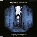 Dreadful Shadows-0