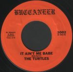 The Turtles-1