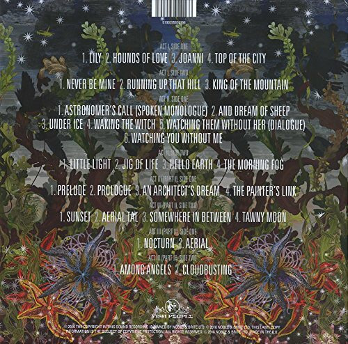 The KT Fellowship, Kate Bush-1