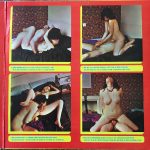 Pietje Potent En De Snelle Rekels-3