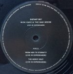 Nick Cave & The Bad Seeds-2