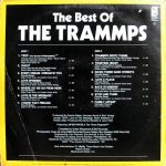 The Trammps-1