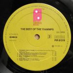 The Trammps-3