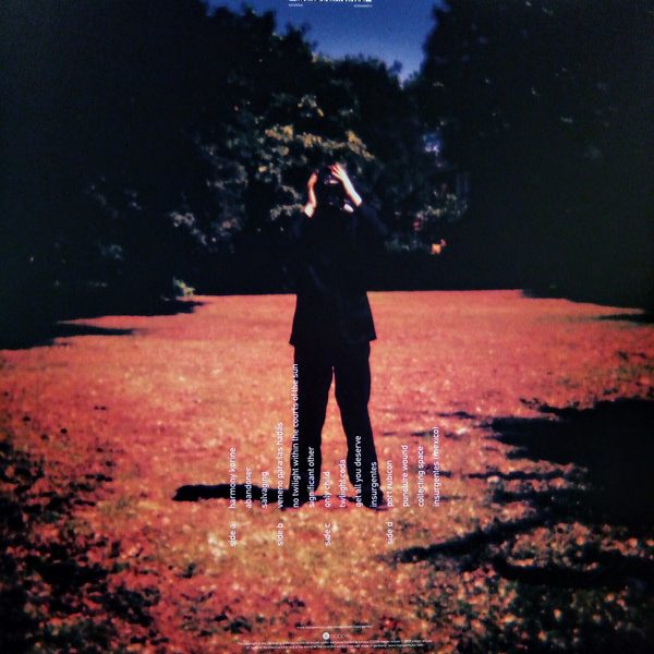 Steven Wilson-1
