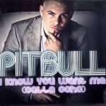 Pitbull-0