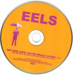 Eels-1