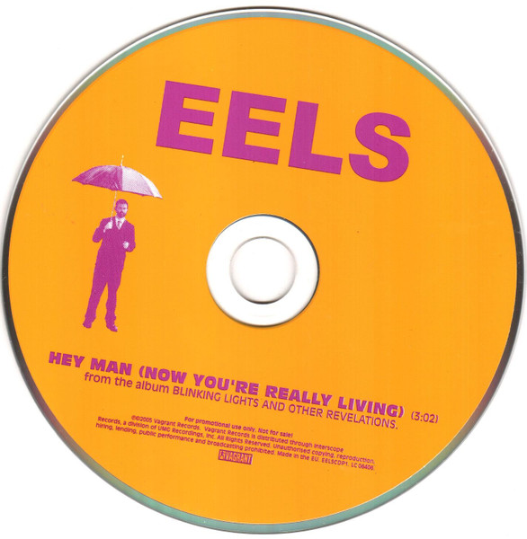 Eels-1
