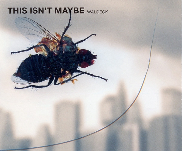 This Isn't Maybe-0 Waldeck-0