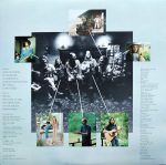 The Ozark Mountain Daredevils-1