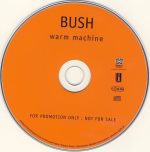 Bush-2