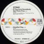 Sting-3