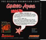 Guano Apes-2