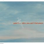 Pale 3 Feat. Skin-0