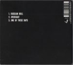 Dead Fly Buchowski-3