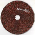 Dead Fly Buchowski-4