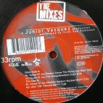 Vicki Sue Robinson-0