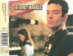 The Dandy Warhols-3