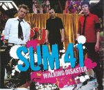 Sum 41-1