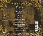 Schandmaul & Puchheimer Jugendkammer Orchester-1