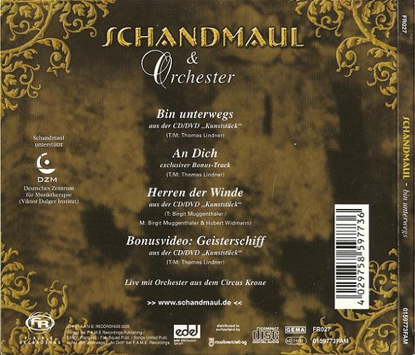 Schandmaul & Puchheimer Jugendkammer Orchester-1