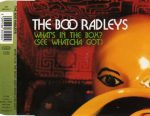 The Boo Radleys-0