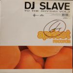 DJ Slave-0