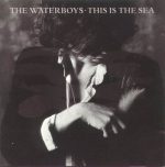 The Waterboys-0