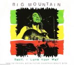 Big Mountain-0