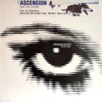 Ascension Feat Erin Lordan-0
