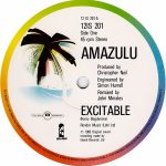 Amazulu-2