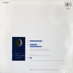 Curiosity Killed The Cat-1