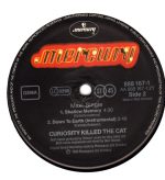Curiosity Killed The Cat-3