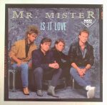 Mr. Mister-0