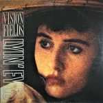 Vision Fields-0
