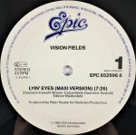 Vision Fields-2