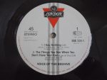 Voice Of The Beehive-2