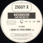 Ziggy X-2