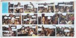Country Gazette-2