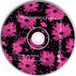The Goo Goo Dolls*-2