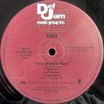 DMX-1