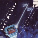 Skyway (3)-0