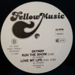 Skyway (3)-2