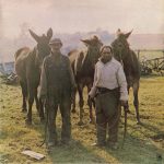 The Ozark Mountain Daredevils-0