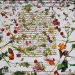 Prince And The Revolution-1