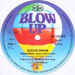 Silicon Dream-2