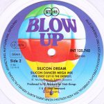 Silicon Dream-3