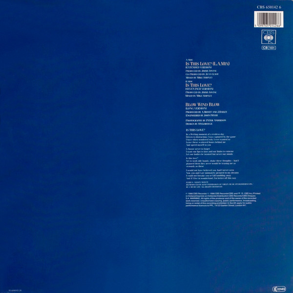 Alison Moyet-1